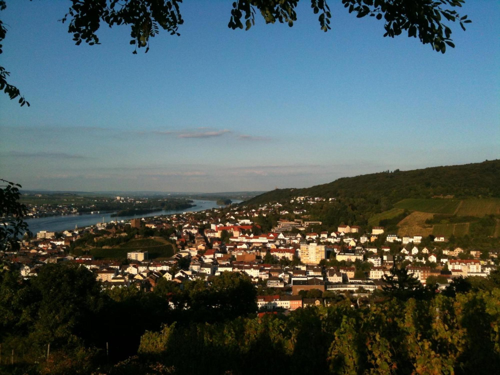 Hotel Café Konditorei Köppel Bingen am Rhein Esterno foto